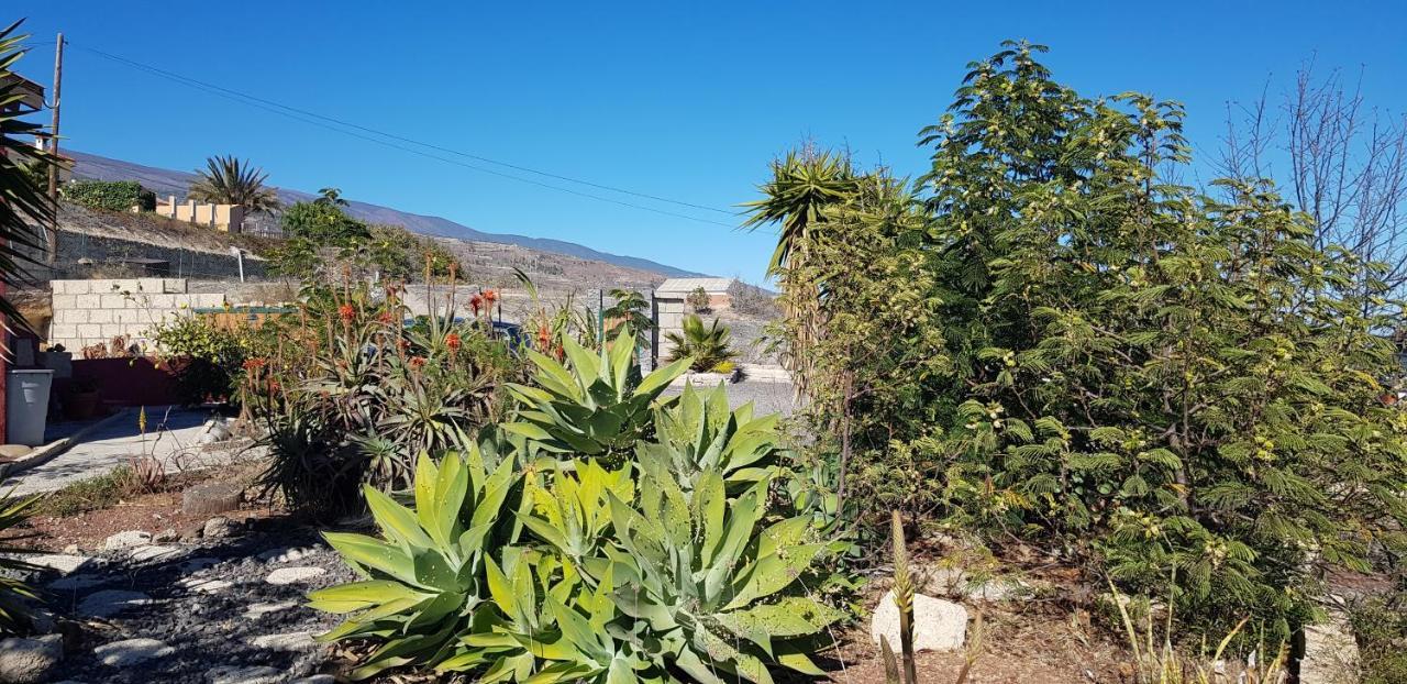 Alojamiento Unico Y Tranquilo Arico Con Fibra Optica Bagian luar foto